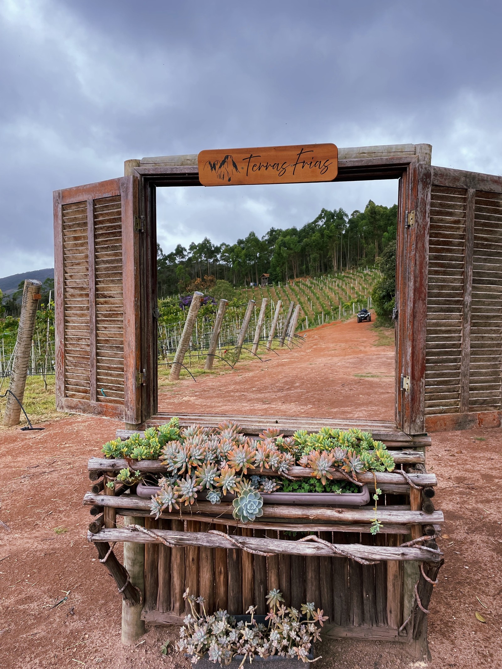Experiência na vinícola Terras Frias dura 2h30 — Foto: Divulgação/Terras Frias