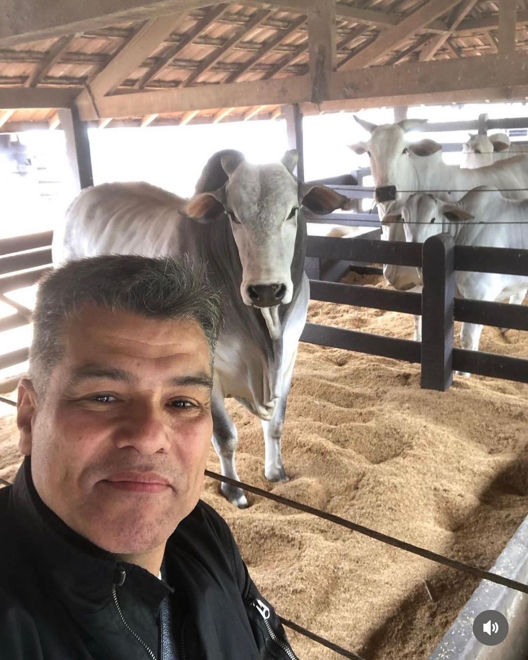 Ele cria cavalos da raça Mangalarga Marchador e gado Nelore