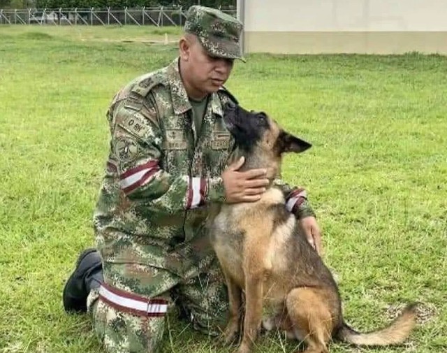 Cachorro Wilson, que foi fundamental para encontrar crianças perdidas na Amazônia, está desaparecido — Foto: Reprodução/Fuerzas Militares de Colombia