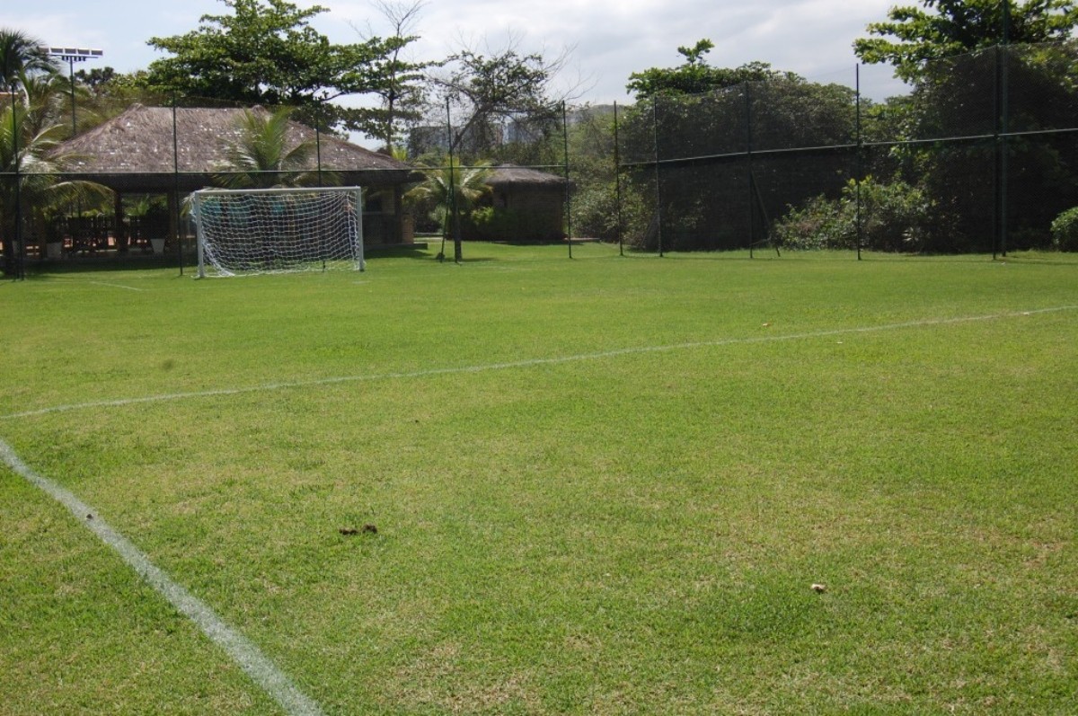Condomínio onde Gagibol possui mansão conta com campo de futebol