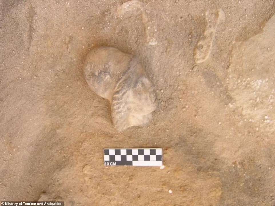 Durante escavações anteriores, especialistas encontraram artefatos dentro do templo de Taposiris Magna, incluindo moedas com imagens e os nomes da rainha Cleópatra, Alexandre, o Grande, e estátuas decapitadas da deusa Ísis  — Foto: Divulgação/Ministério do Turismo e Antiguidades