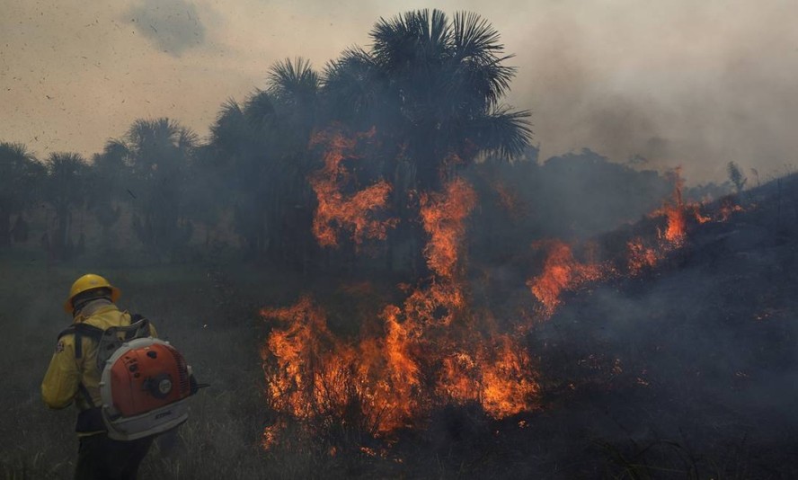 Um membro da brigada de incêndio do Instituto Brasileiro do Meio Ambiente e dos Recursos Naturais Renováveis (IBAMA) tenta controlar pontos quentes durante um incêndio na floresta amazônica do Brasil, em Apui, estado do Amazonas