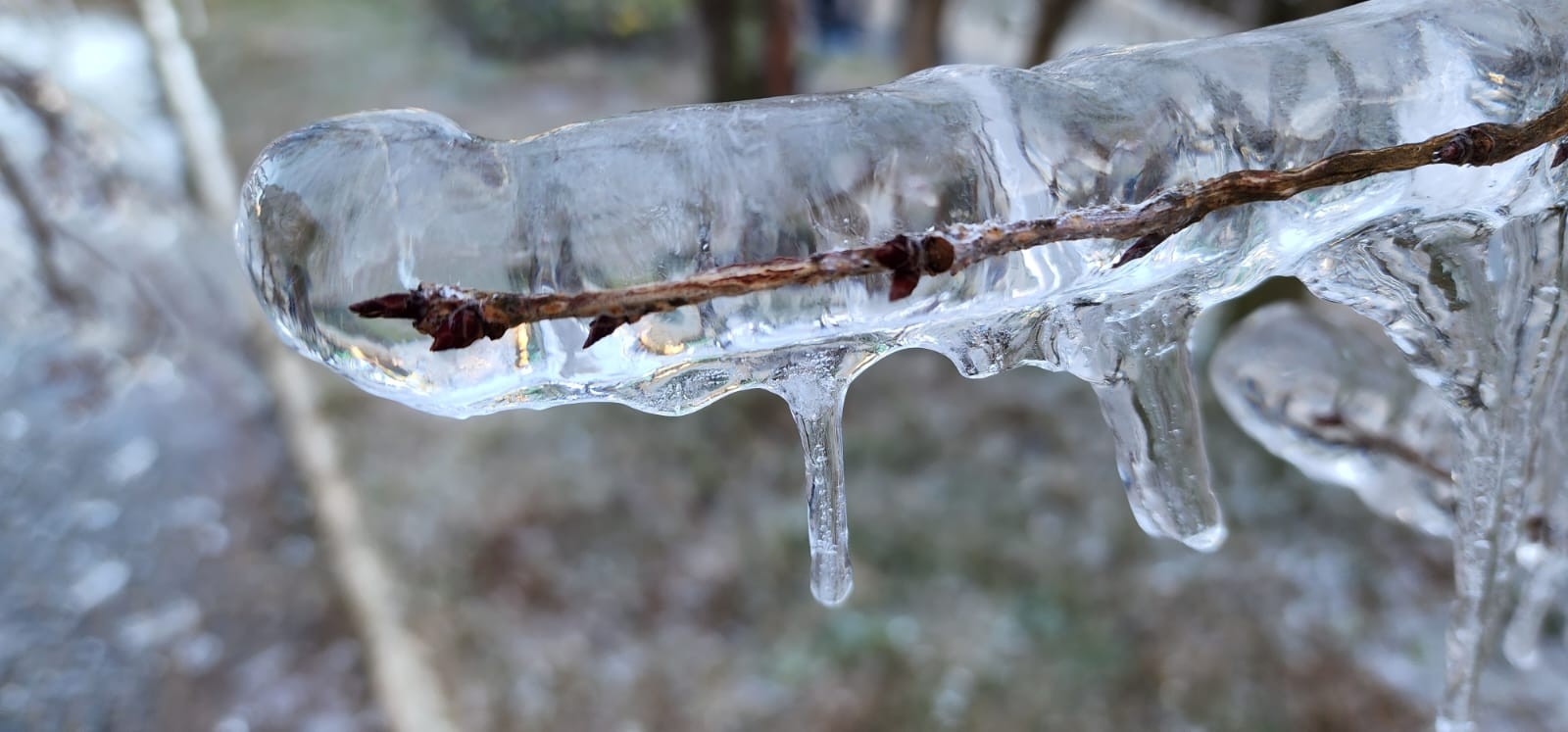 Segundo a Epagri/Ciram, a mínima do dia chegou a -5,8 graus em Urupema e - 4,16 graus em São Joaquim — Foto: Mycchel Legnaghi / @saojoaquimonline.com.br