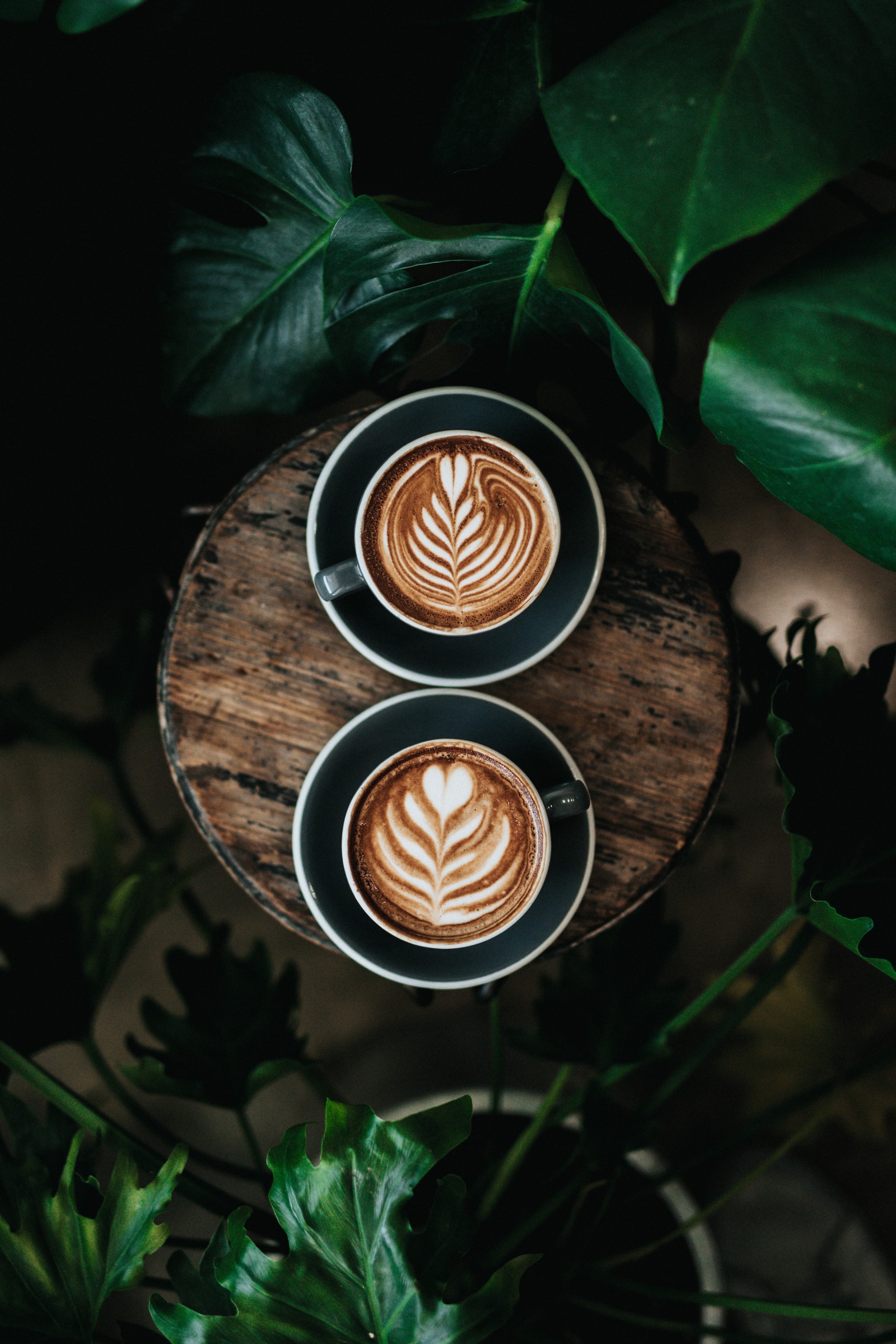 Cafés com pontuação global menor de 4,5 pontos não são recomendados. — Foto: Unsplash