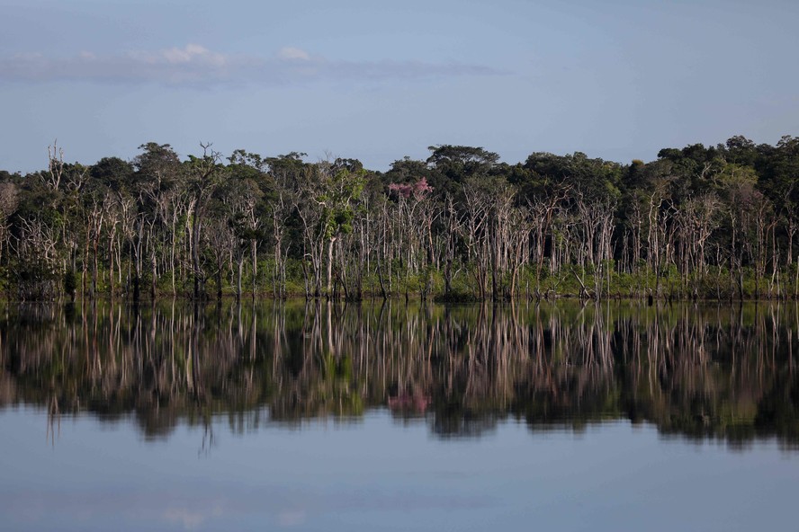 Área de proteção ambiental na Reserva Extrativista Unini, no Amazonas