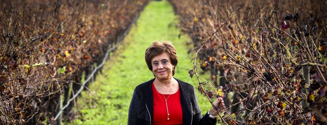 Leonor Freitas, empresária e gestora da Casa Ermelinda FreitasDaniel Rocha