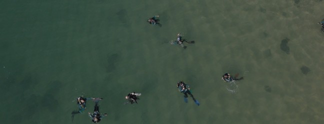 O Projeto Verde Mar tem mergulhadores para coleta de resíduos no mar, a serem catalogados e usados como dado em estudos científicos — Foto: Projeto Verde Mar / Divulgação