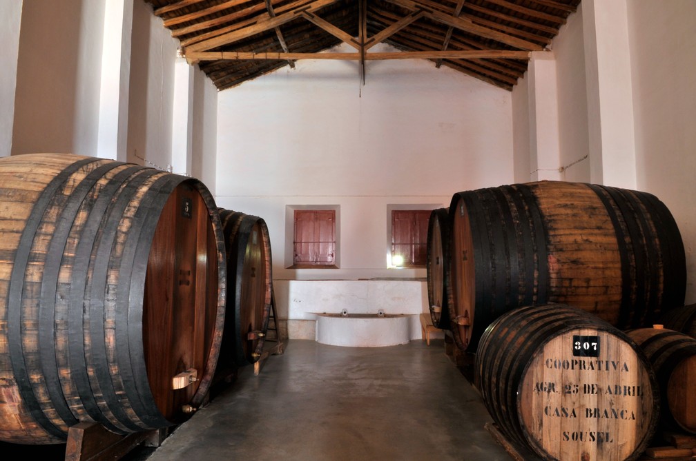 No Mouchão, vinho ícone do Alentejo amadurece em tonéis históricos — Foto: Divulgação