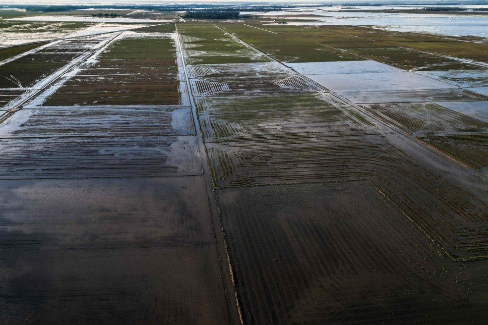 Plantação de arroz inundada no Rio Grande do Sul — Foto: Nelson Almeida / AFP / 09-05-2024