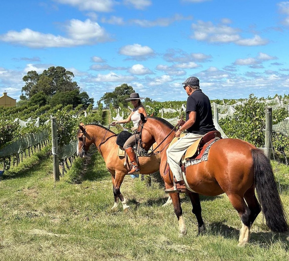 Galvão Bueno curte sua fazenda em cima do cavalo  — Foto: reprodução