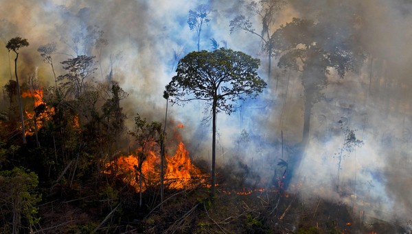 Incêndios na Amazônia batem recorde no primeiro semestre