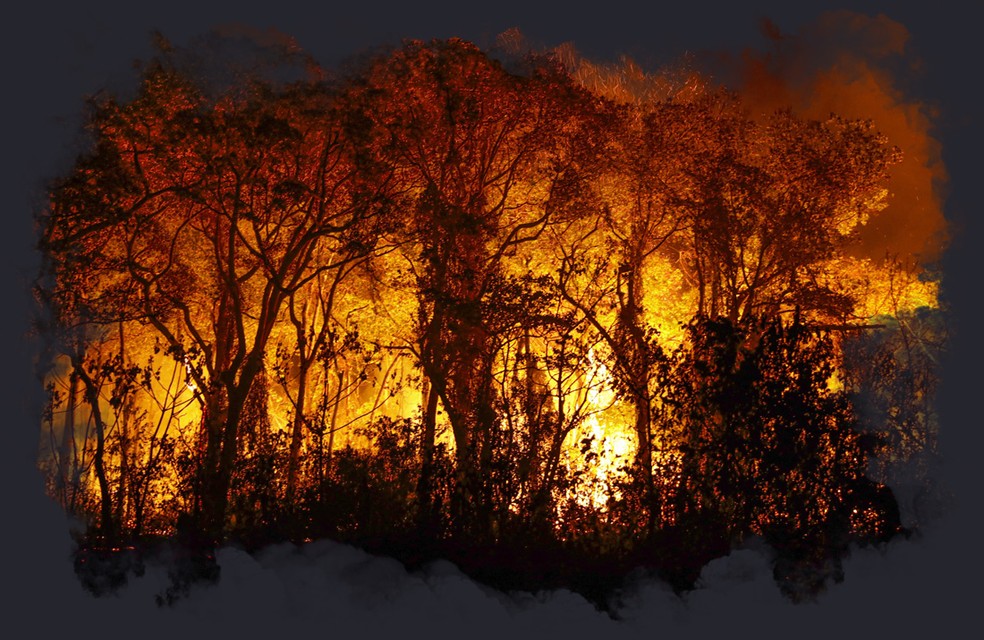 Árvores sendo consumidas pelo incêndio florestal que atingiu o Pantanal — Foto: Arte O GLOBO/Agência Brasil