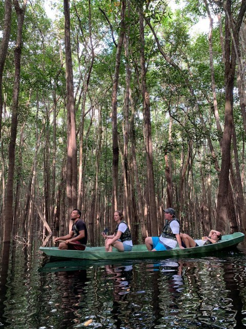 Passeios em áreas alagadas tem navegação entre as árvores