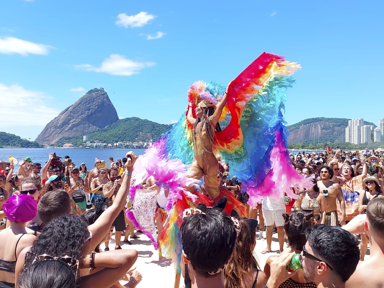 Amigos da Onça. — Foto: Domingos Peixoto / Agência O Globo