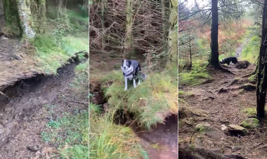 Tempestade Babet: homem filma ventos levantando chão de floresta na Escócia