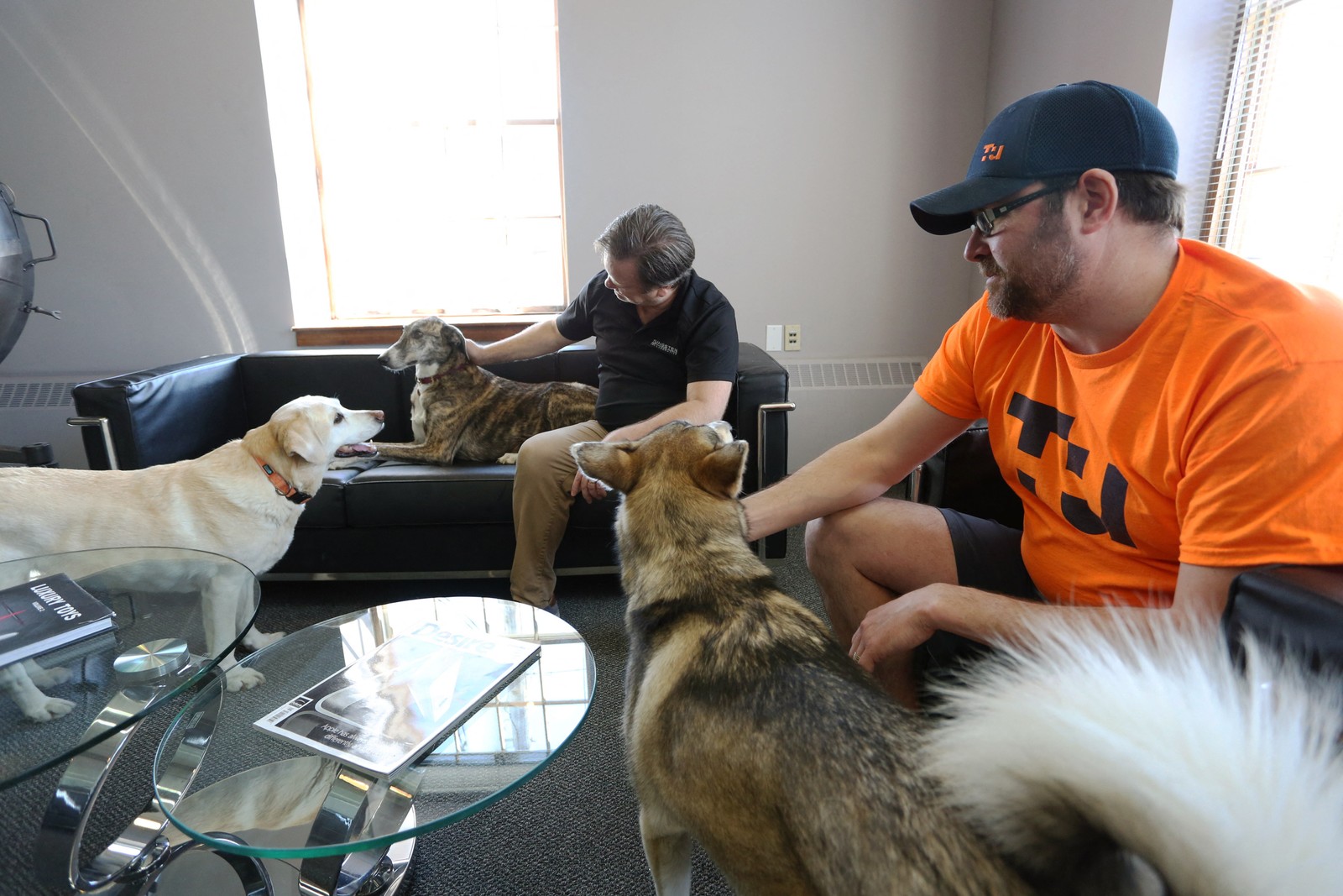 Os cachorros e seus donos na mesma reunião na Tungsten Collaborative, em Ottawa, No Canadá     AFP