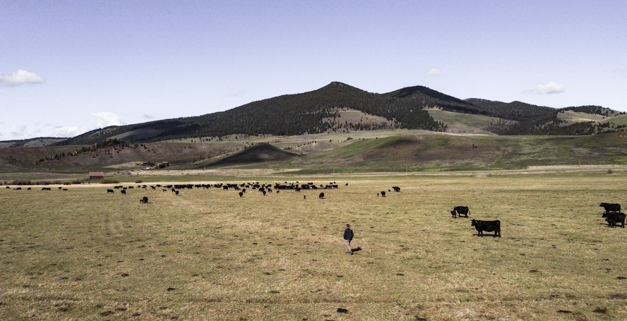 Montana, nas Montanhas Rochosas dos EUA, possui mais gado do que gente