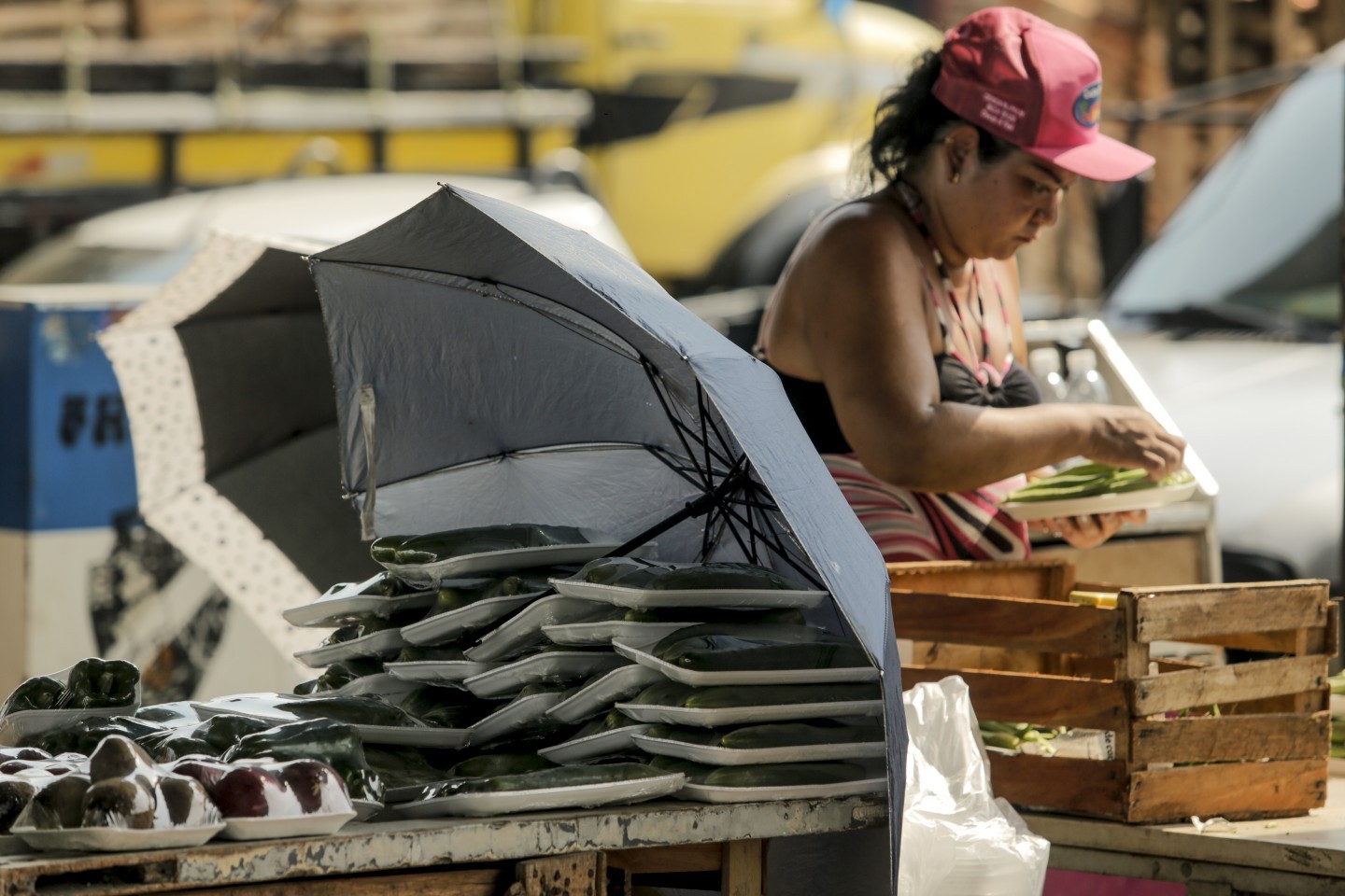 Os comerciantes usam sombrinhas para proteger produtos do sol no Ceasa-RJ — Foto: Gabriel de Paiva / Agência O Globo