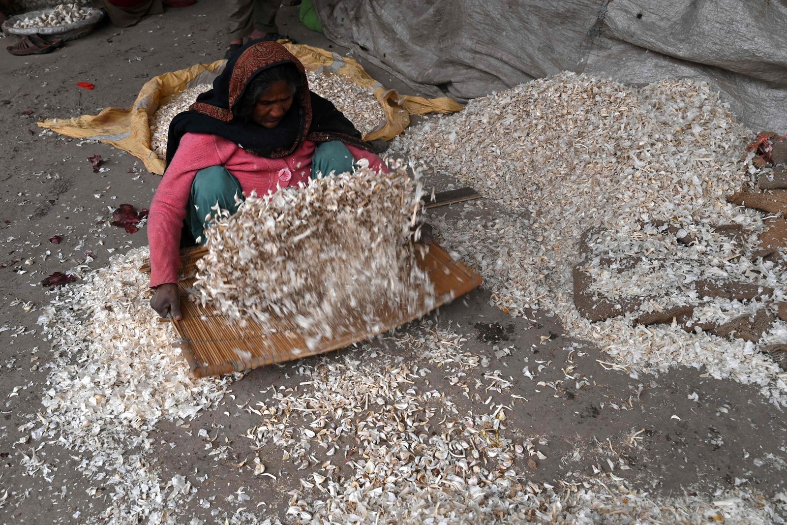 Trabalhadora limpa alho em um mercado em Lahore, Paquistão — Foto: ARIF ALI/AFP