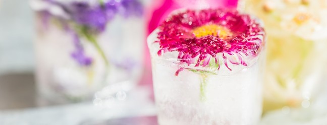 Até gelo ganha flor comestível e entra na onda 'instagramável' — Foto: Divulgação