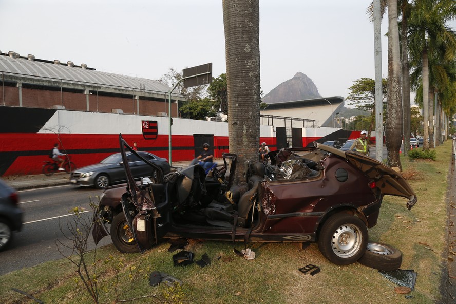 O Peugeot ficou completamente destruído após bater contra a palmeira