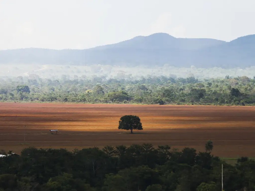 Área de cerrado desmatada para agricultura em Alto Paraíso de Goiás (GO)