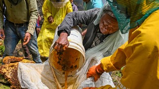 Nepaleses fazem coleta de 'mel alucinógeno' no Himalaia — Foto: AFP