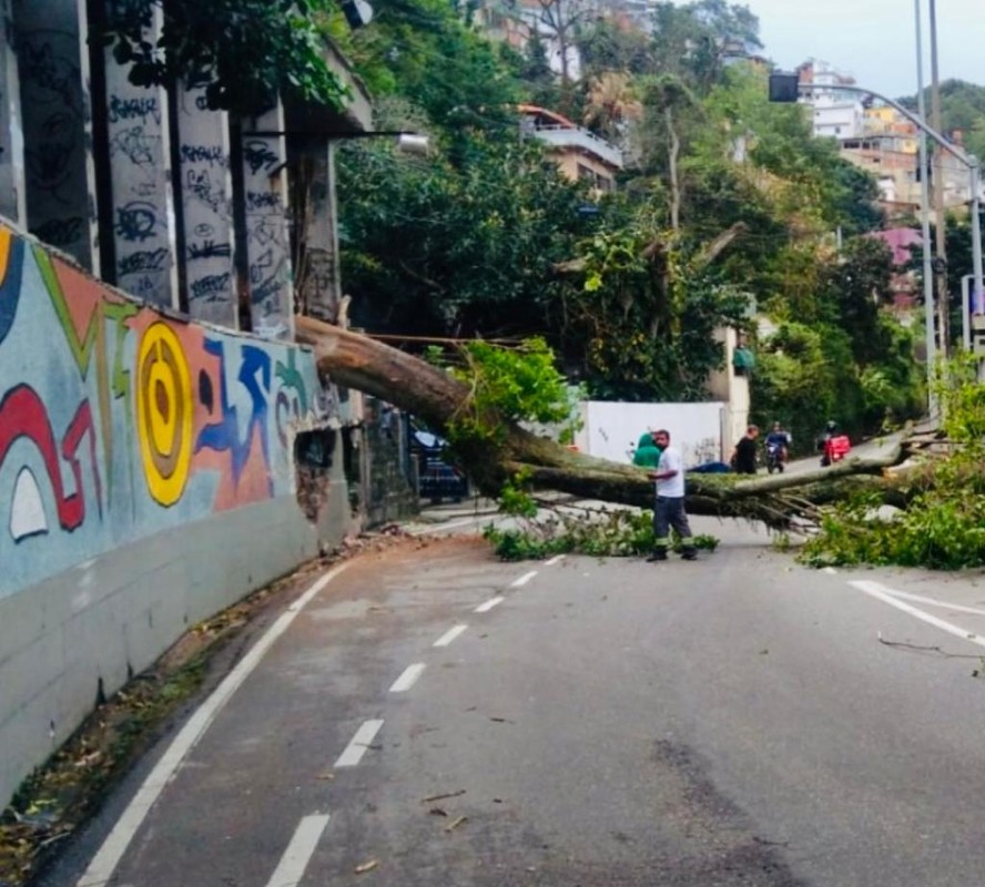 Desmoronando. Árvore caiu na Niemeyer e danificou mural de arte