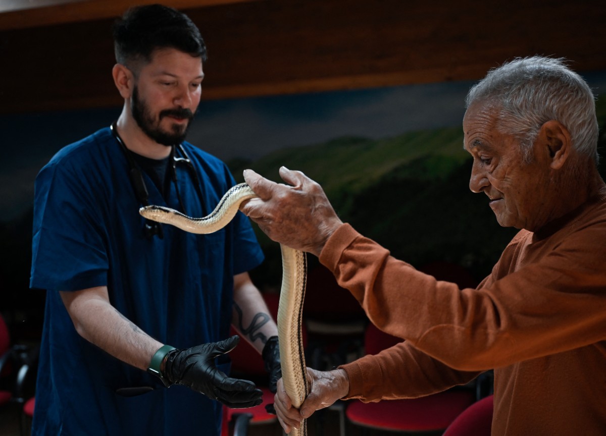 Religiosos usam serpentes em procissão tradicional, na Itália; veja fotos — Foto: TIZIANA FABI/AFP