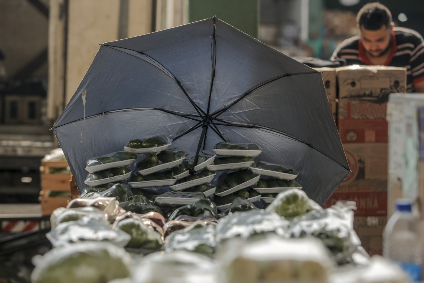 Comerciantes tentam proteger alimentos do sol — Foto: Gabriel de Paiva / Agência O Globo
