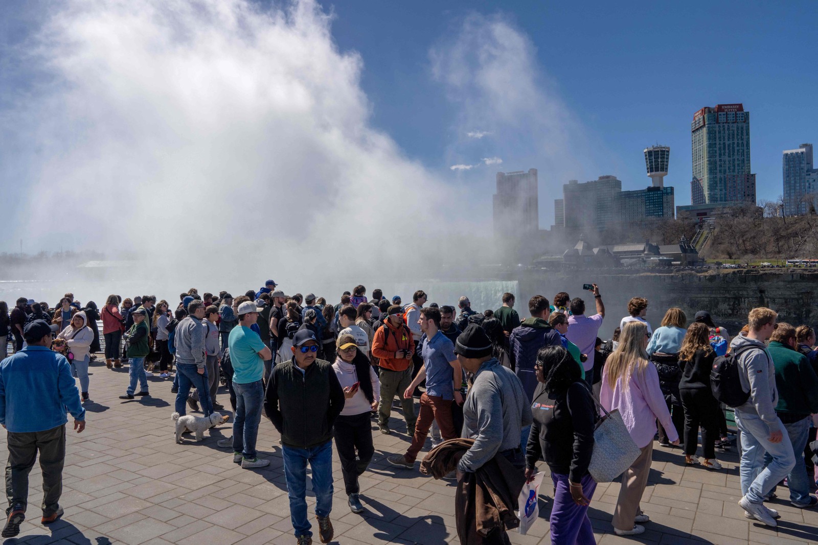 Milhões de pessoas viajaram para áreas da América do Norte que estão no "caminho da totalidade" para vivenciar o eclipse solar total em 8 de abril. — Foto: Adam Gray/Getty Images/AFP