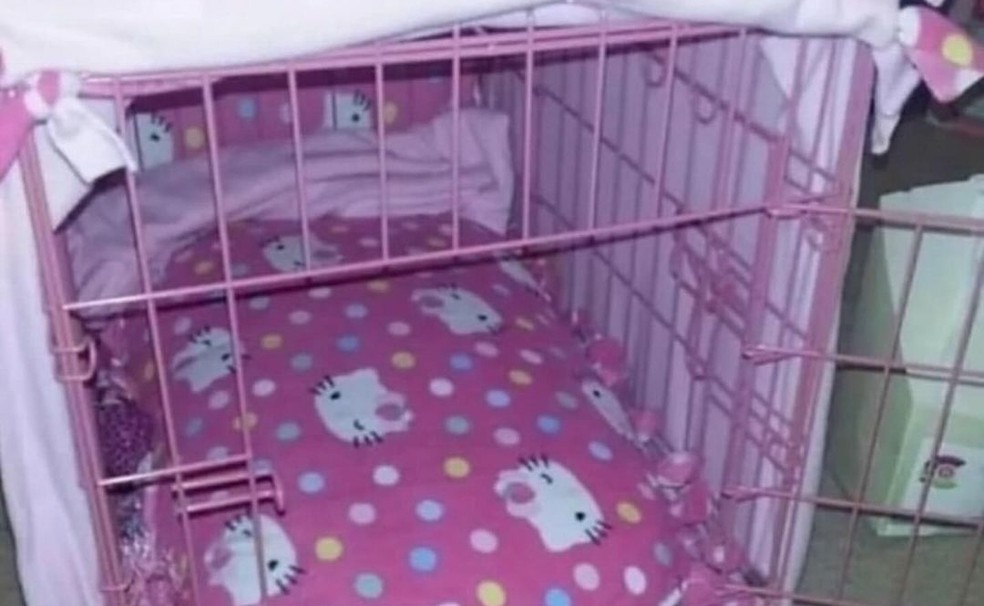 Gaiola onde Meow dorme todos os dias — Foto: Reprodução/ Instagram