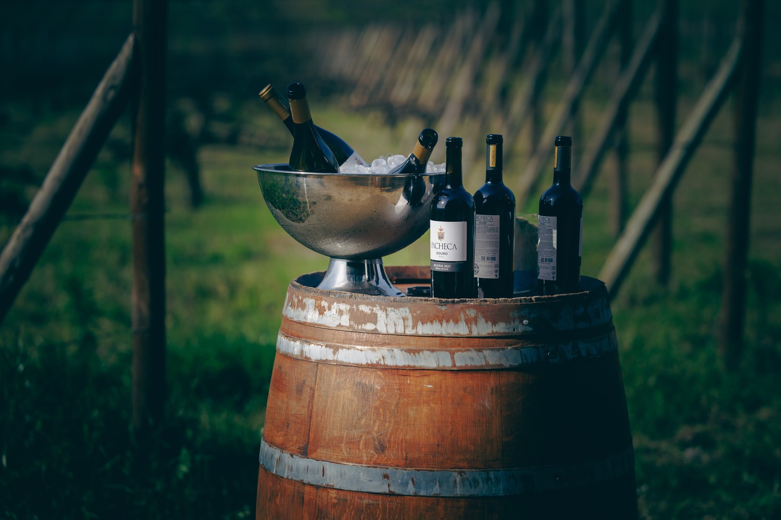 Vinhos do almoço ao ar livre da Quinta da Pacheca, na região do Rio Douro, em Portugal — Foto: Divulgação / Pedro Sarmento Costa