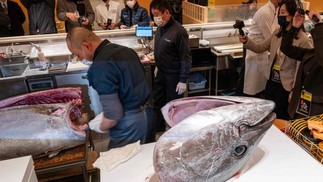 O arremate foi feito pelo grupo atacadista de pescado Yamayuki, com sede em Tóquio, em conjunto com a empresa que opera o restaurante Sushi Ginza Onodera — Foto: Richard Brooks/AFP