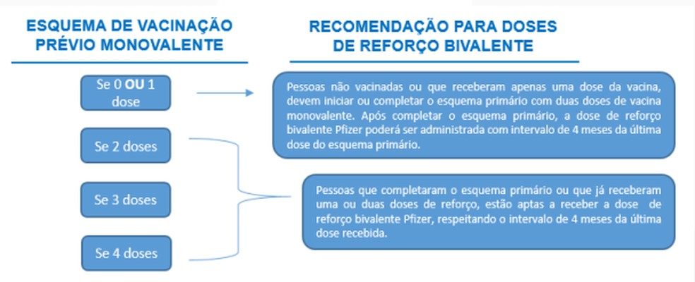 São necessárias ao menos duas doses das vacinas monovalentes para receber o novo reforço com a bivalente. — Foto: Informe técnico do Ministério da Saúde sobre a vacinação com as doses bivalentes da Covid-19 no Brasil.