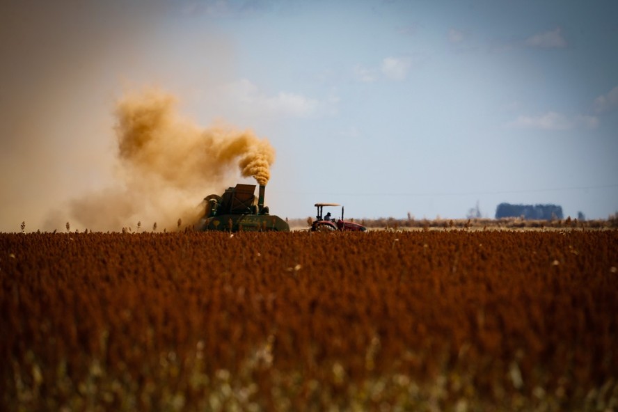 Produção do agro vai cair no próximo ano, estima setor