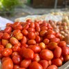 Grupo de alimentação e bebidas tem recuo de 0,44%: preço do tomate teve queda de 17,94% - Rafaela Gama