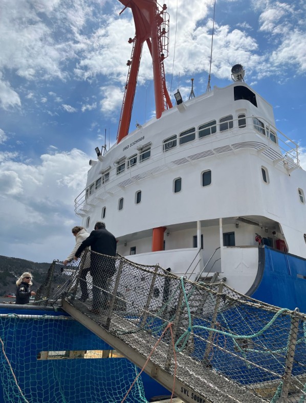 Submersível que desapareceu mantinha contato com Polar Prince, na superfície — Foto: Reprodução/Twitter