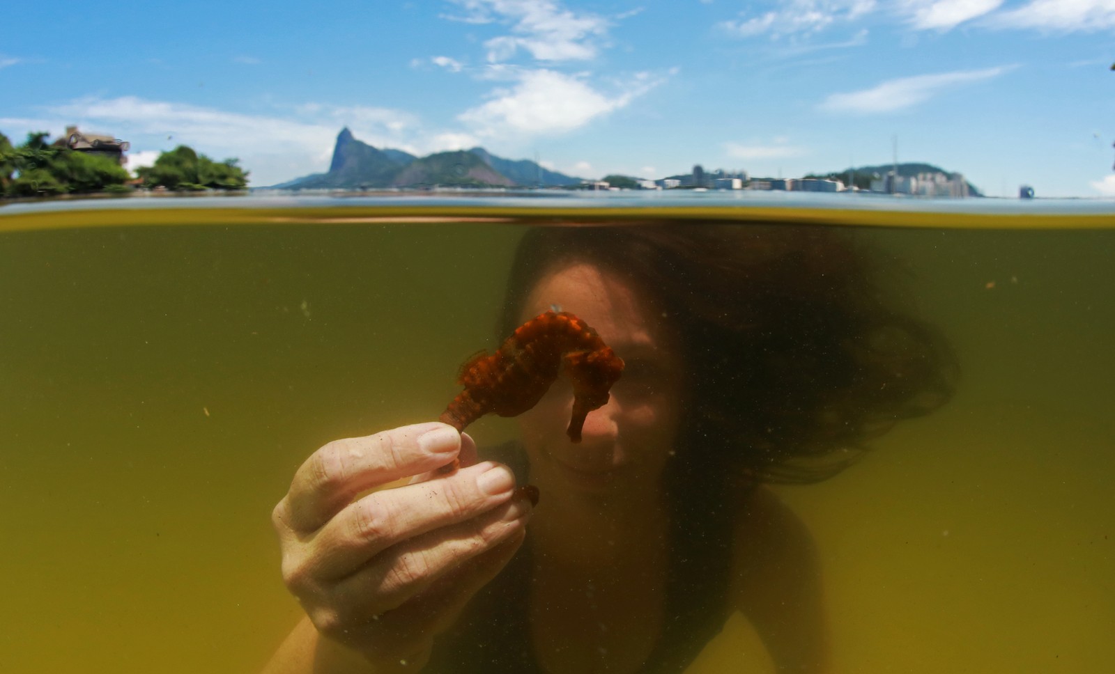 Bióloga Natalie Freret-Meurer exibe cavalo-marinho na Praia da Urca. Espécie tem sobrevivido nas extremamente poluídas águas da Baía de Guanabara — Foto: Custodio Coimbra