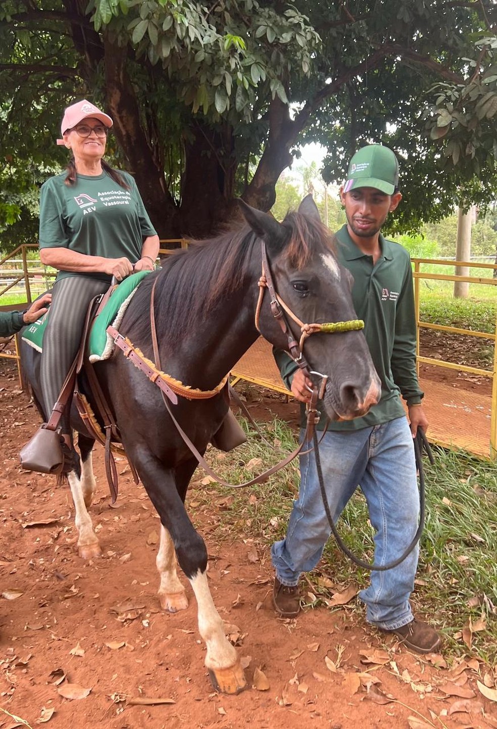 Cuidados na criação de cavalos em fazenda incluem até hidratante para os pelos — Foto: Eliane Silva