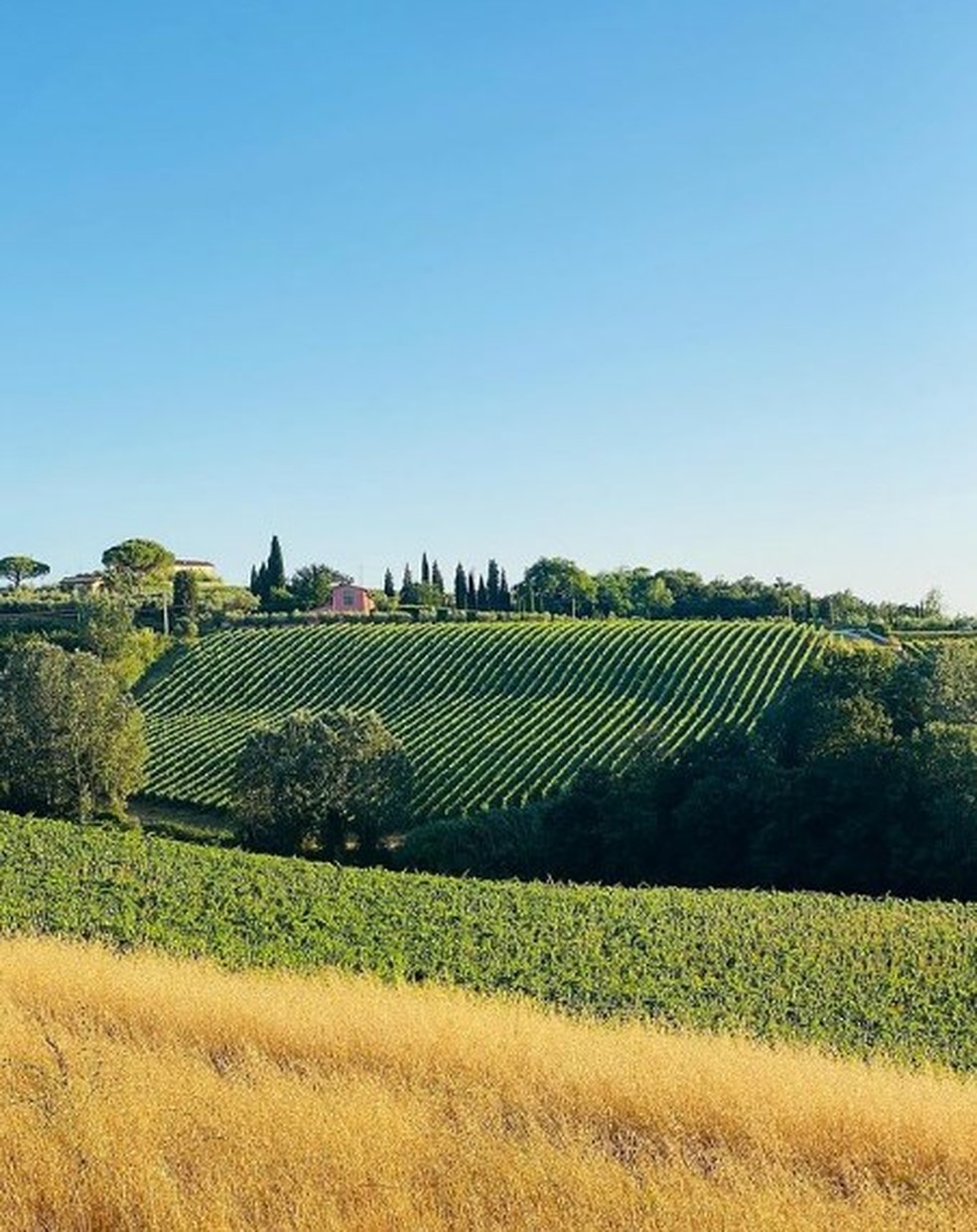 Poggiotondo: vinícola da família de Alberto Antonini na Toscana — Foto: Reprodução