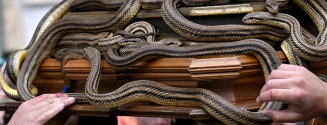 Religiosos usam serpentes em procissão tradicional, na Itália; veja fotos — Foto: TIZIANA FABI/AFP