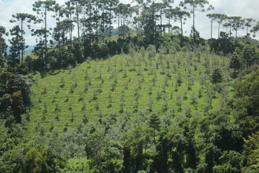 Para produtora, visitas ajudam a entender que produto tem cultivo delicado, que ocorre uma vez no ano