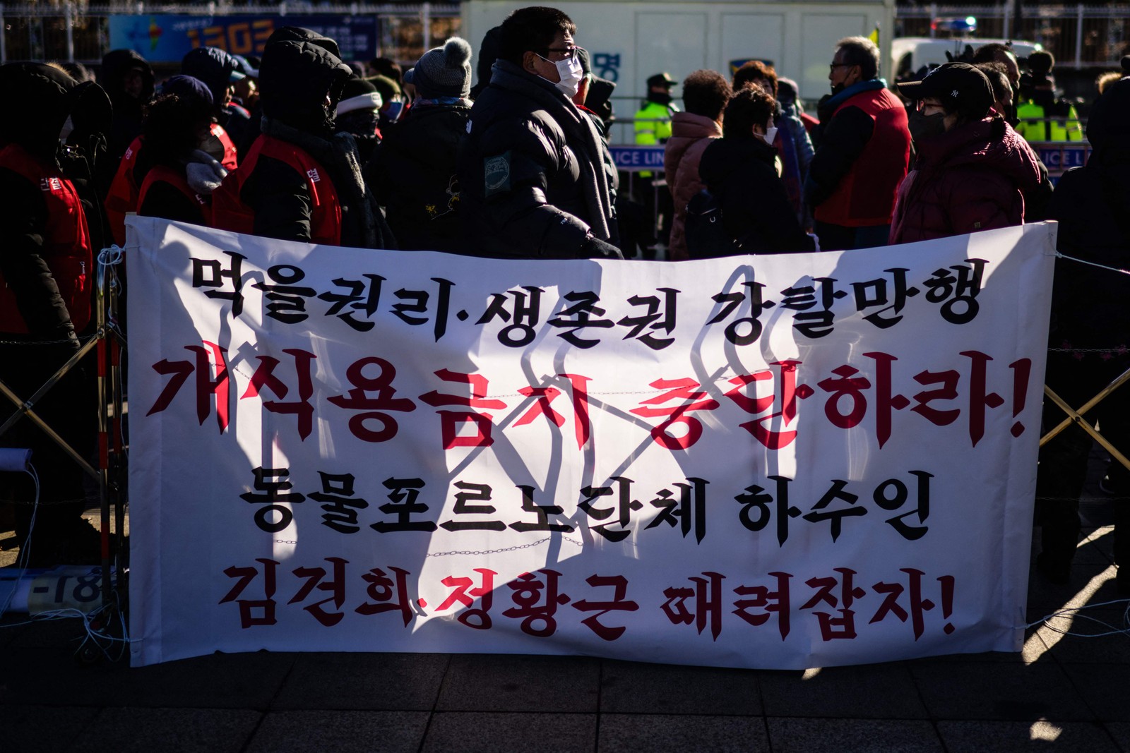 Cerca de 200 produtores de cachorros se reuniram em frente ao gabinete presidencial da Coreia do Sul — Foto: Anthony WALLACE / AFP