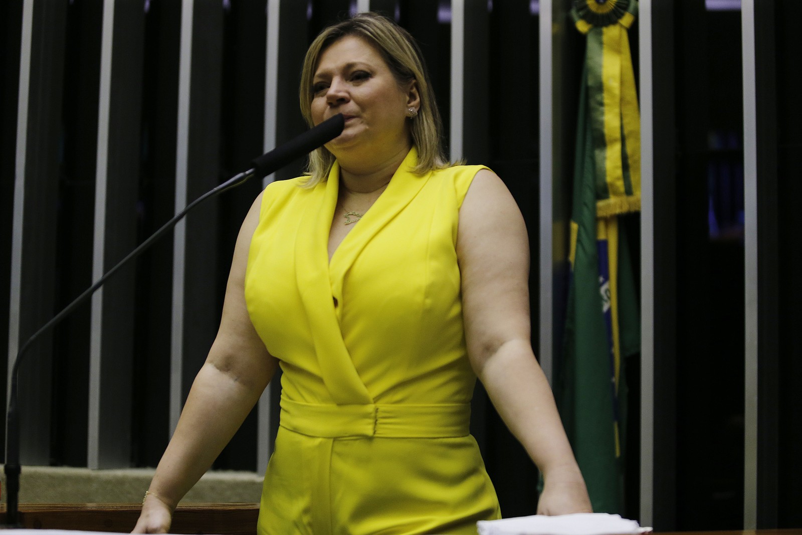 Joice Hasselmann chora durante sessão plenária da Câmara após denunciar que tem sido vítima de xingamentos nas redes sociais, em novembro de 2019 — Foto: Jorge William / Agência O Globo