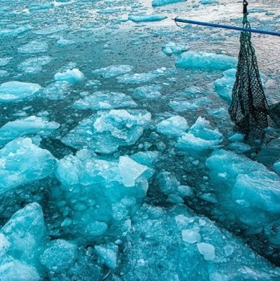 Rede captura iceberg do mar — Foto: Divulgação