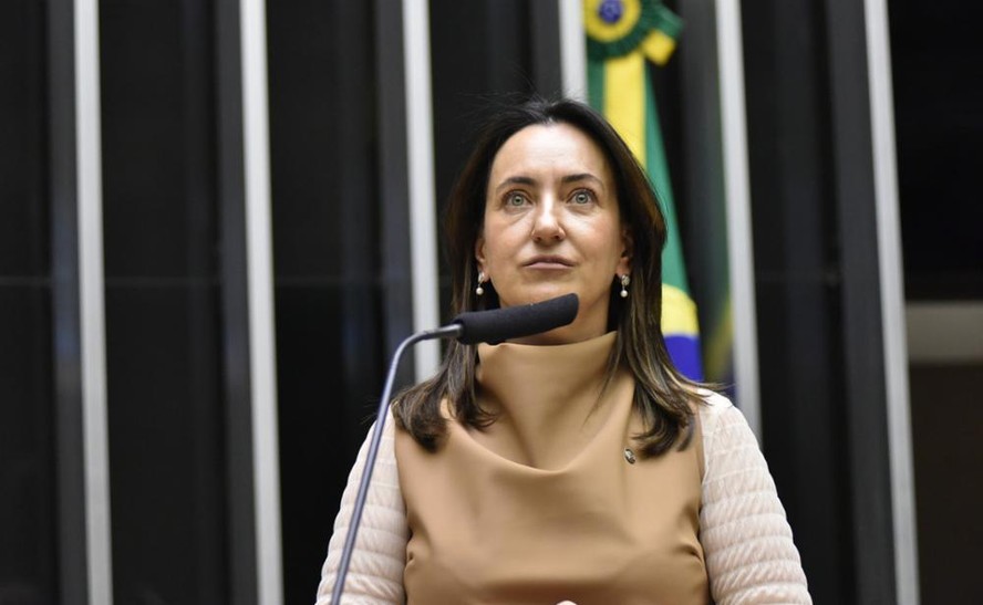 A deputada Rosângela Moro, em sessão da Câmara