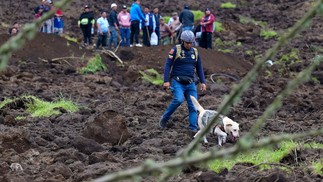 Equipes de resgate usam cães farejadores na busca por vítimas de avalanche no Equador — Foto: Marcos PIN / AFP