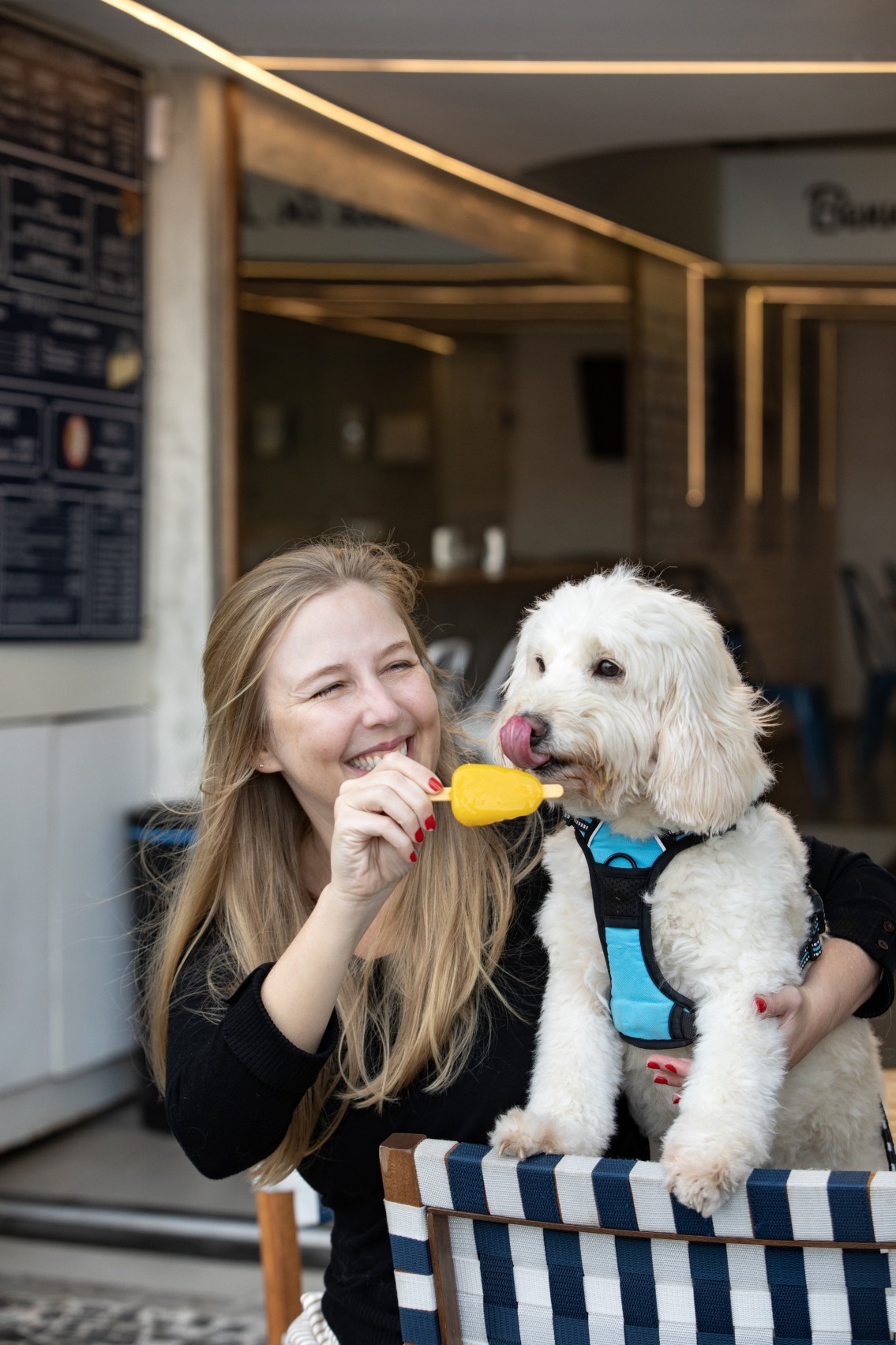 Gelaterias trabalham com sistema de café da manhã, sorvetes para cães e picolés personalizados.Luisa Coladangelo, da Gelateria Piemonte, em Copacabana, oferece picolé de manga para a cadela Dola — Foto: Ana Branco/Agência O Globo