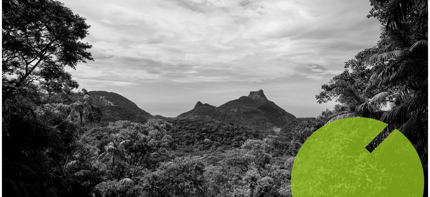 Parque Nacional da Floresta da Tijuca: o mais visitado